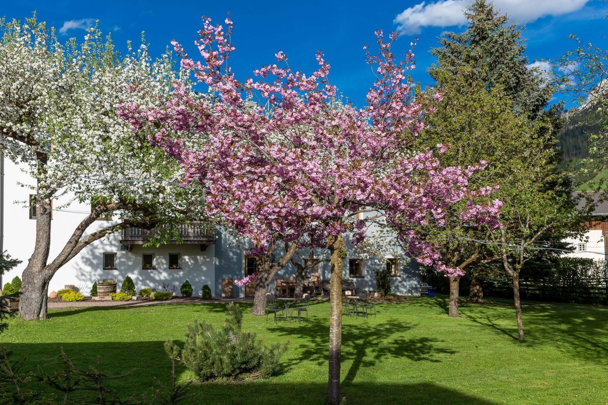 Residence Mitterdorfer Abfaltersbach Zewnętrze zdjęcie